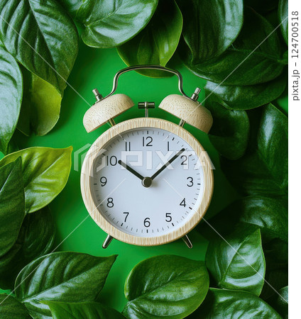 Alarm clock among leaves on plain background, space text. Concept Study, education, work, start 124700518