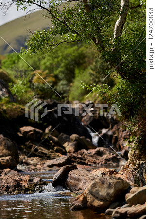 sumer, mauntain small stream surrounded by trees sumer, mauntain small stream surrounded by trees 124700838