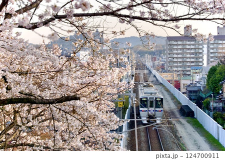 桜並木を行く愛知環状鉄道 桜並木を行く愛知環状鉄道 124700911