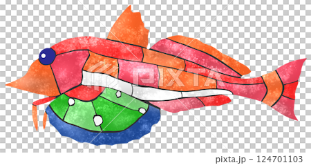 A lovely mosaic-style cutout illustration of a saltwater fish called a gurnard A lovely mosaic-style cutout illustration of a saltwater fish called a gurnard 124701103