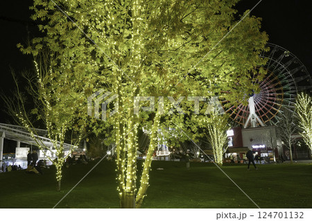 イルミネーションが輝く秋の夜の公園 124701132