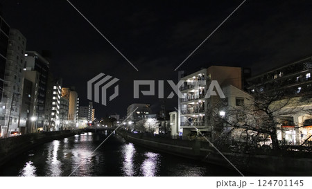 横浜市大岡川の夜桜 124701145