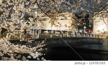 横浜市大岡川の夜桜 横浜市大岡川の夜桜 124701163