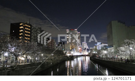 横浜市大岡川の夜桜 横浜市大岡川の夜桜 124701171