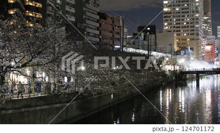 横浜市大岡川の夜桜 横浜市大岡川の夜桜 124701172