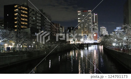 横浜市大岡川の夜桜 124701173