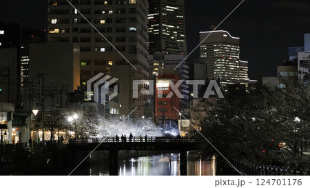 横浜市大岡川の夜桜 横浜市大岡川の夜桜 124701176