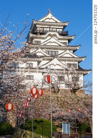 春の福山城と桜 124701320