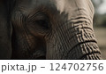 Close-up side view of the head of an elephant in the savannah. wild animals, AI-generated Close-up side view of the head of an elephant in the savannah. wild animals, AI-generated 124702756
