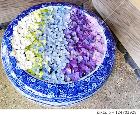 紫陽花の手水鉢 紫陽花の手水鉢 124702929