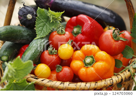 採れたて野菜 採れたて野菜 124703060