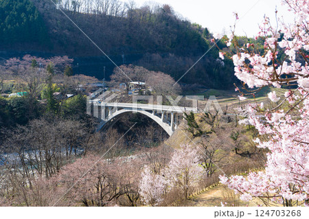 春の長野県中川村の坂戸橋の写真 春の長野県中川村の坂戸橋の写真 124703268