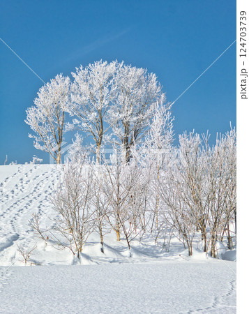 冬景色 124703739