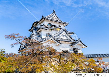 滋賀 彦根城　天守と満開の桜 124704255