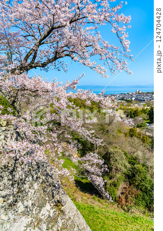 滋賀 彦根城　城下の眺め 124704428