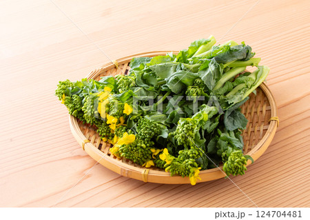 菜の花 菜の花 124704481