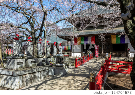 水戸大師六地蔵寺の朝【春さくら散る時期】 水戸大師六地蔵寺の朝【春さくら散る時期】 124704678