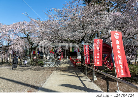 水戸大師六地蔵寺の朝【春さくら散る時期】 124704724