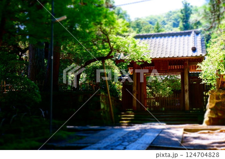 鎌倉五山第三位の古刹、寿福寺の苔むした石畳の参道を歩く 124704828