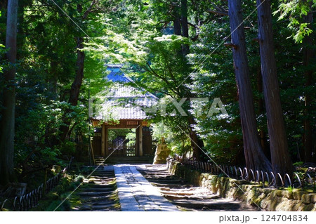 鎌倉五山第三位の古刹、寿福寺の苔むした石畳の参道を歩く 124704834
