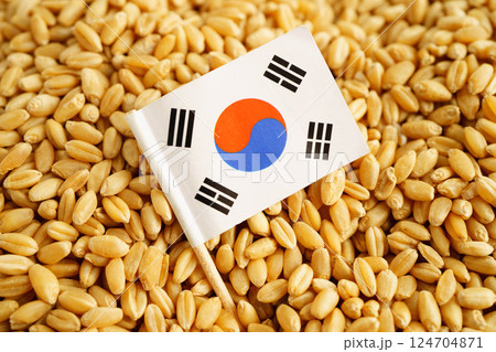 South Korea flag on grain wheat, trade export and economy concept. 124704871