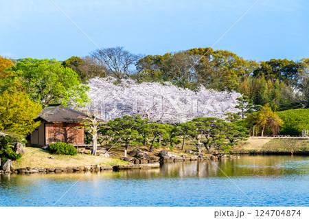 春の岡山後楽園　沢の池 124704874