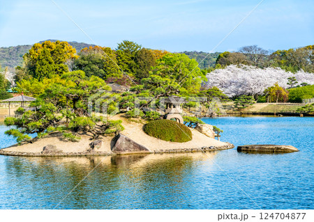 春の岡山後楽園 沢の池 春の岡山後楽園 沢の池 124704877