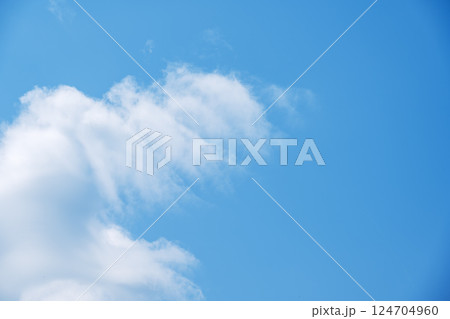 春空 春の空 青空 晴れ 4月 【東京都】 124704960