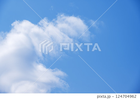 春空 春の空 青空 晴れ 4月 【東京都】 124704962