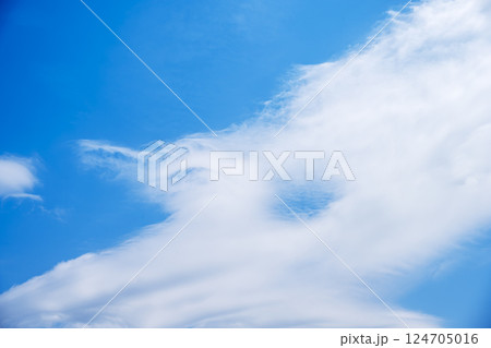 春空 春の空 青空 晴れ 4月 【東京都】 春空 春の空 青空 晴れ 4月 【東京都】 124705016