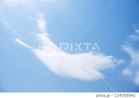 春空 春の空 青空 晴れ 4月 【東京都】 124705042