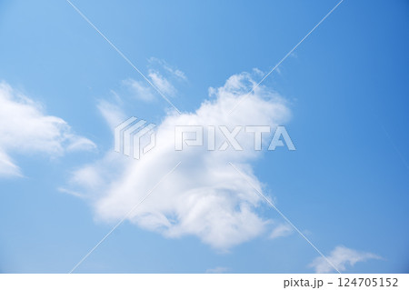 春空 春の空 青空 晴れ 4月 【東京都】 124705152