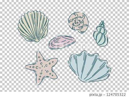 Stylish shells (snails, clams, scallops, cherry shells) and starfish found on the beach 124705322