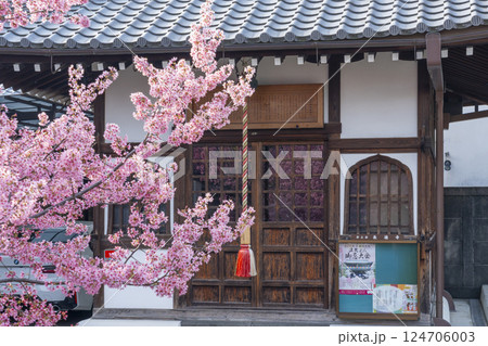 春の京都 長徳寺 地蔵堂のガラス戸に映るおかめ桜 春の京都 長徳寺 地蔵堂のガラス戸に映るおかめ桜 124706003