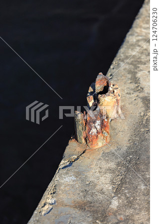 Cracked Reinforced concrete bridge railing visible internal reinforcement, Broken or weak concrete. 124706230