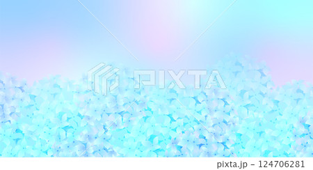 アジサイ　梅雨　花　背景	 124706281