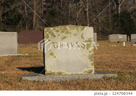 Grave Marker in Rural East Texas With Word Graves 124706344