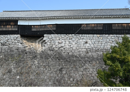 【熊本県】 熊本城 数寄屋丸二階御広間 【熊本県】 熊本城 数寄屋丸二階御広間 124706748