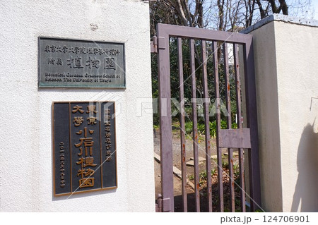 小石川植物園 小石川植物園 124706901