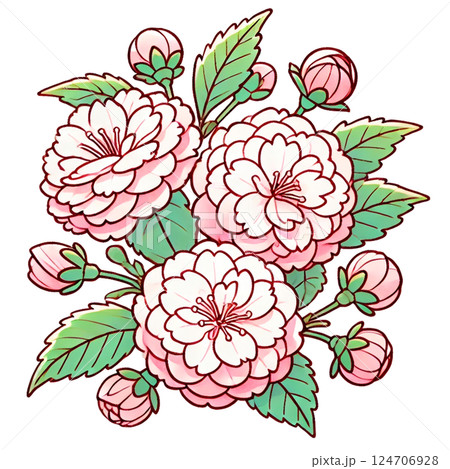 和風の可愛い八重桜イラスト 124706928