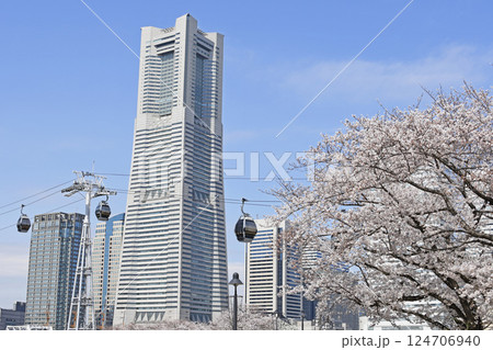 横浜みなとみらい21と桜の花 横浜みなとみらい21と桜の花 124706940
