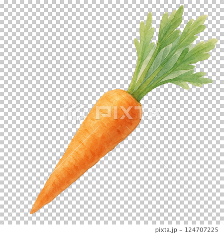 帶葉子的胡蘿蔔水彩插圖(透明背景) 帶葉子的胡蘿蔔水彩插圖(透明背景) 124707225