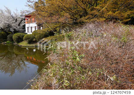 総合研究博物館小石川分館 総合研究博物館小石川分館 124707459