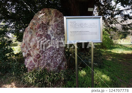 小石川植物園　甘藷施策跡の碑 124707778