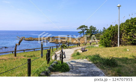 県立立石公園の春 124707955