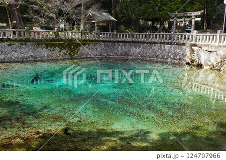透き通る池 124707966