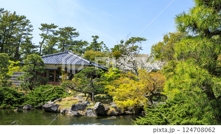 桜咲く葉山しおさい公園の春 124708062