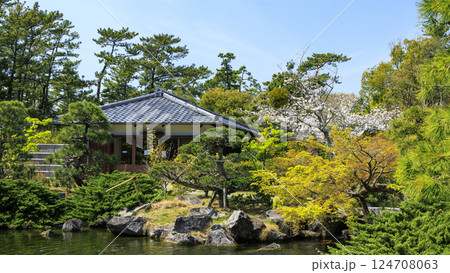 桜咲く葉山しおさい公園の春 124708063