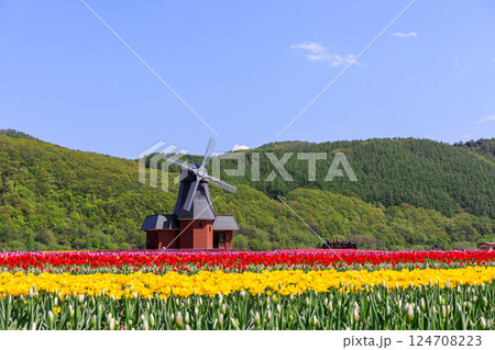 北海道湧別町、70万本のチューリップが咲き誇るかみゆうべつチューリップ公園【5月】 124708223
