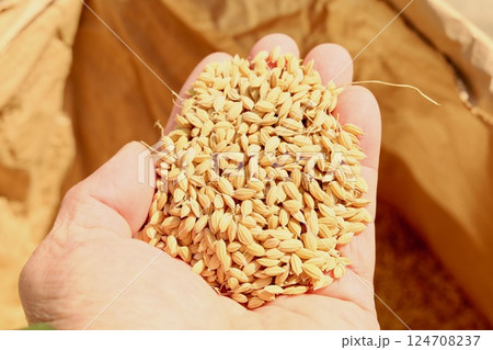 玄米を持つ男性の手 124708237